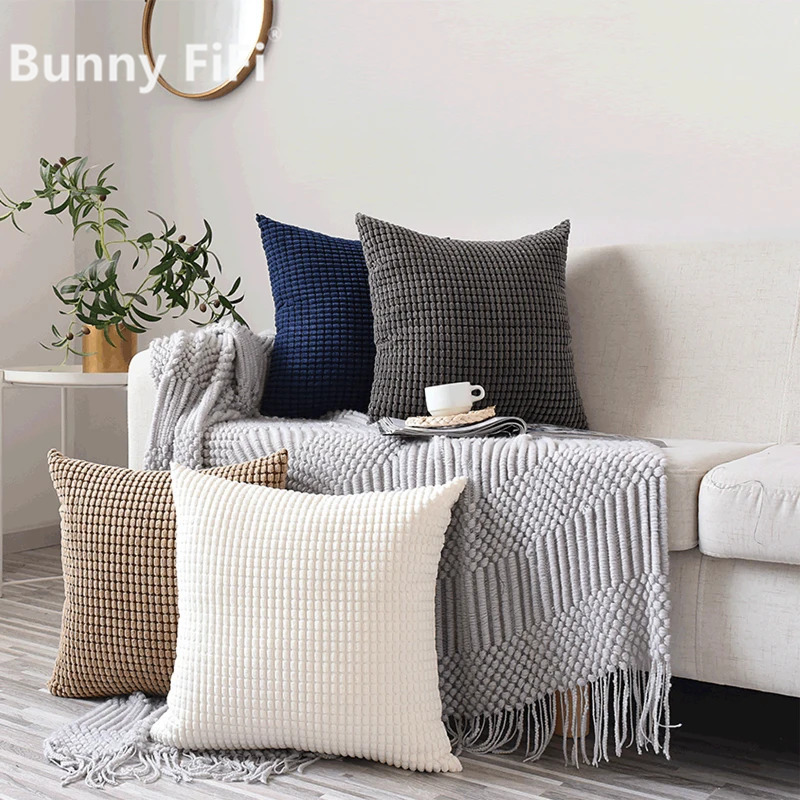 Pillow Cover 20X20 - Housse de coussin décorative en velours