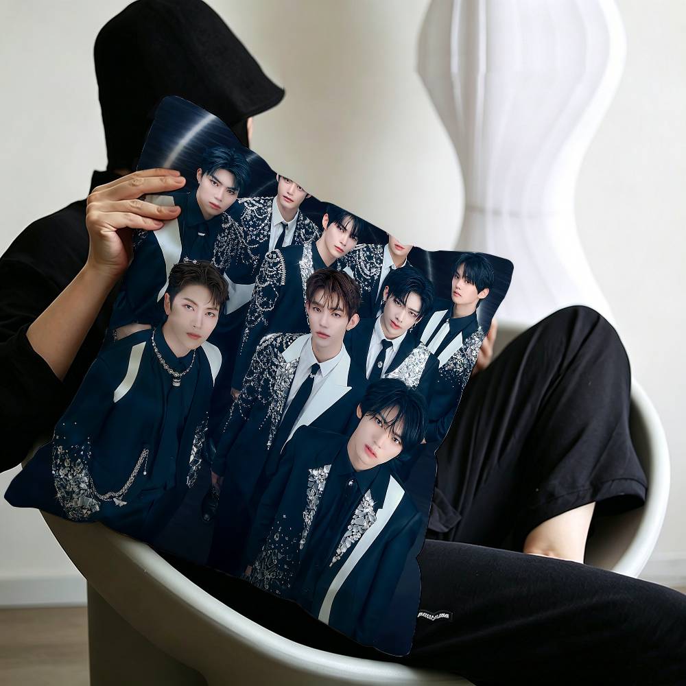Housse de coussin coréenne ZB1 - Home Textiles Group avis et prix