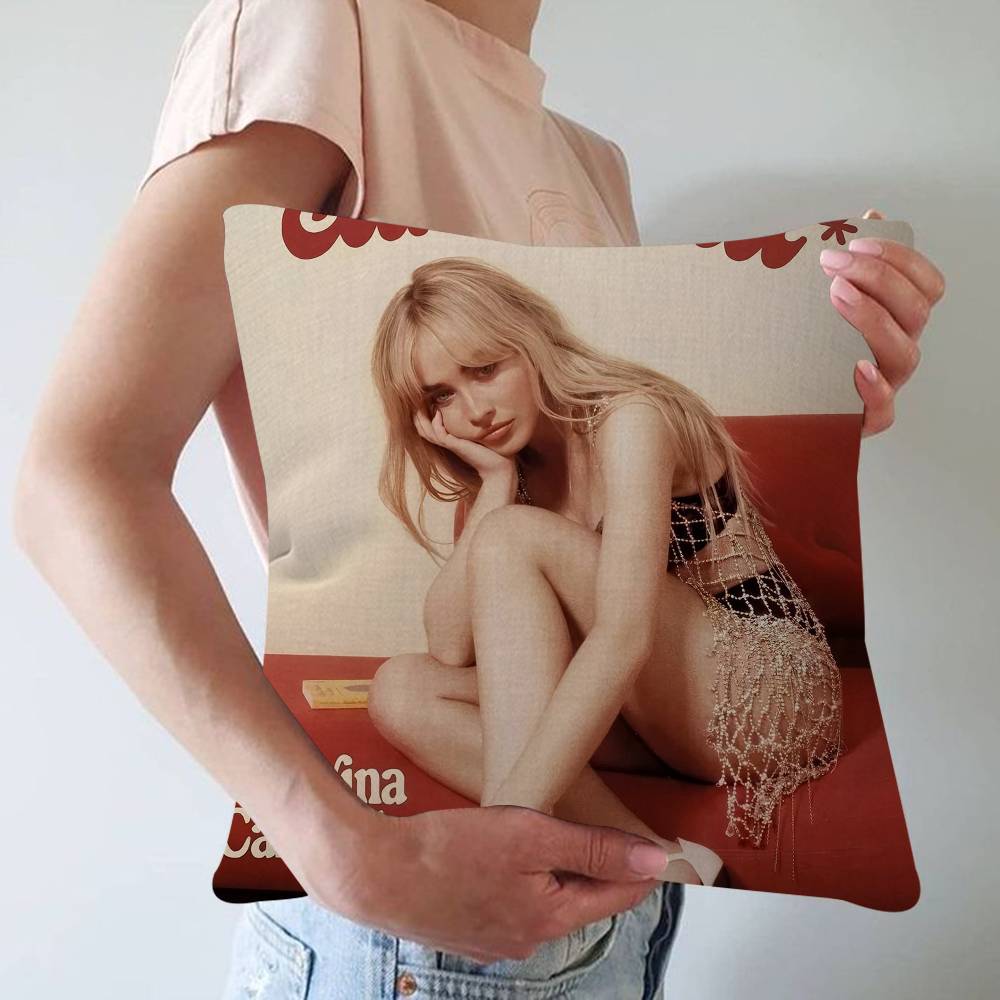 Housse de coussin de canapé Fa - Home Textiles Inc avis et prix